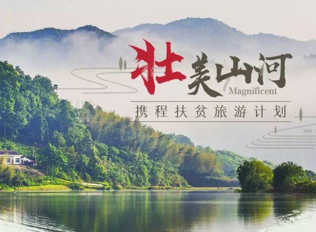 请问我应该留下来吗?-有问必答平台,让你的问题迎刃而解
