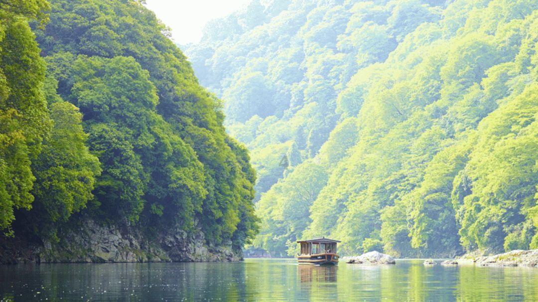 沪江开心词场