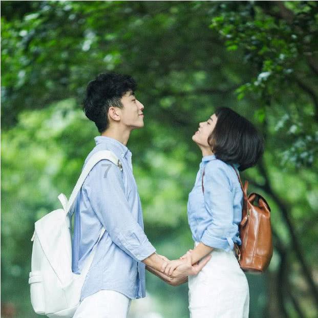 创作猫
